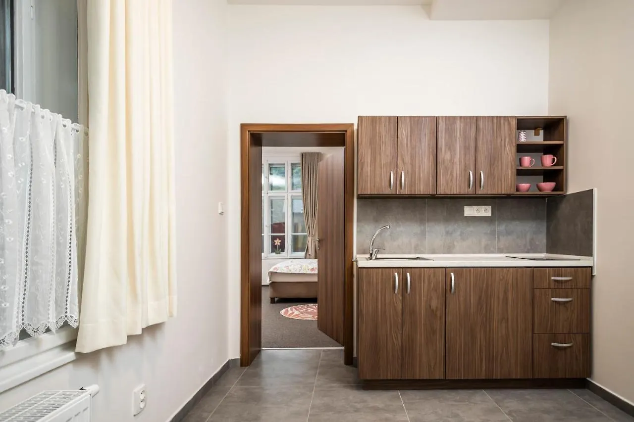 Apartmany Vila Libena Ostrava Apartment